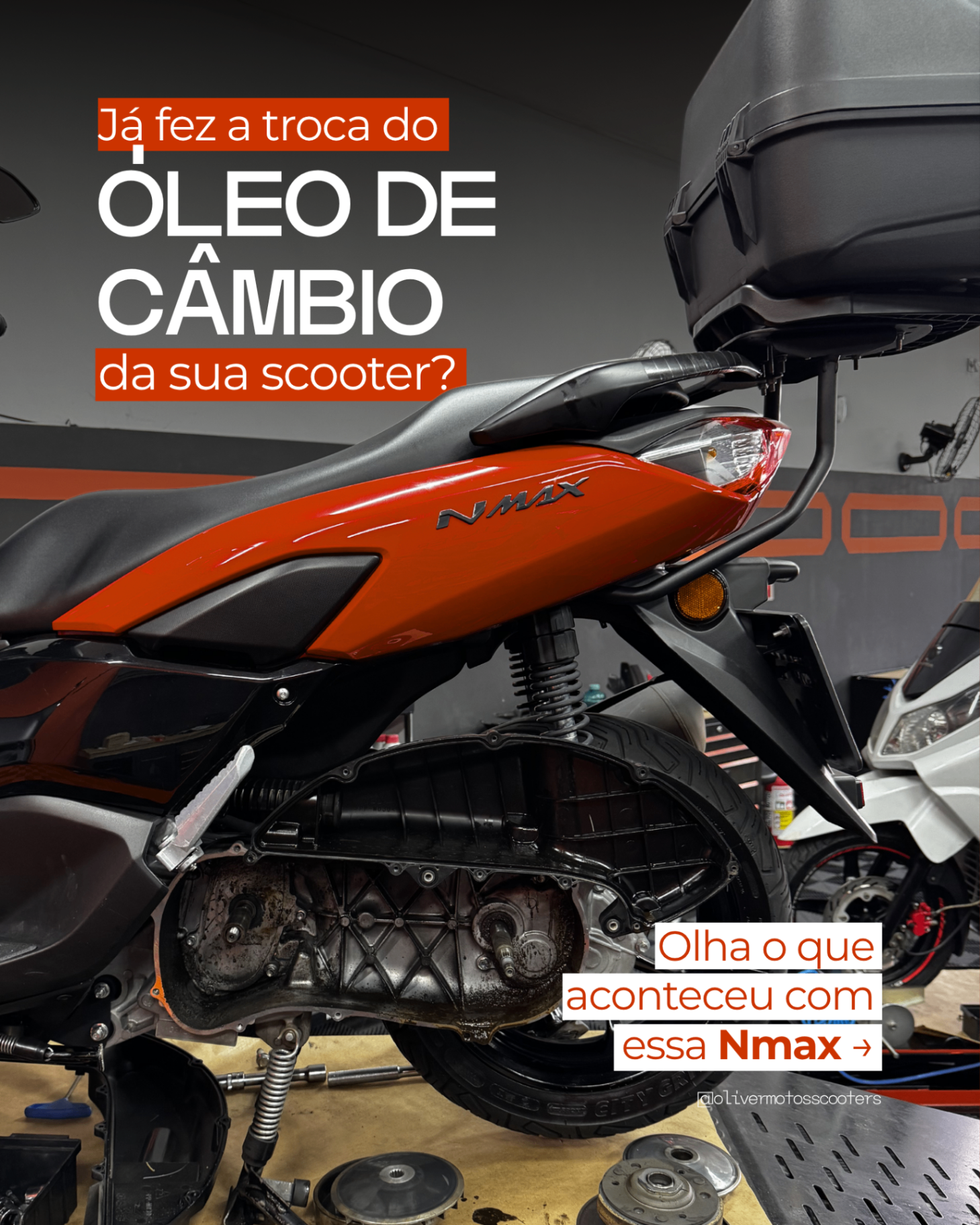 Capa de carrossel 1