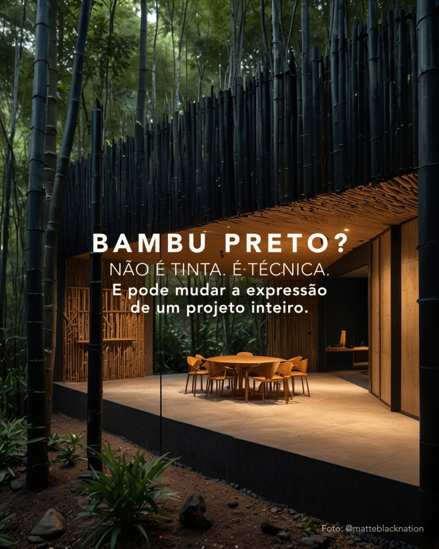 Capa de carrossel 3