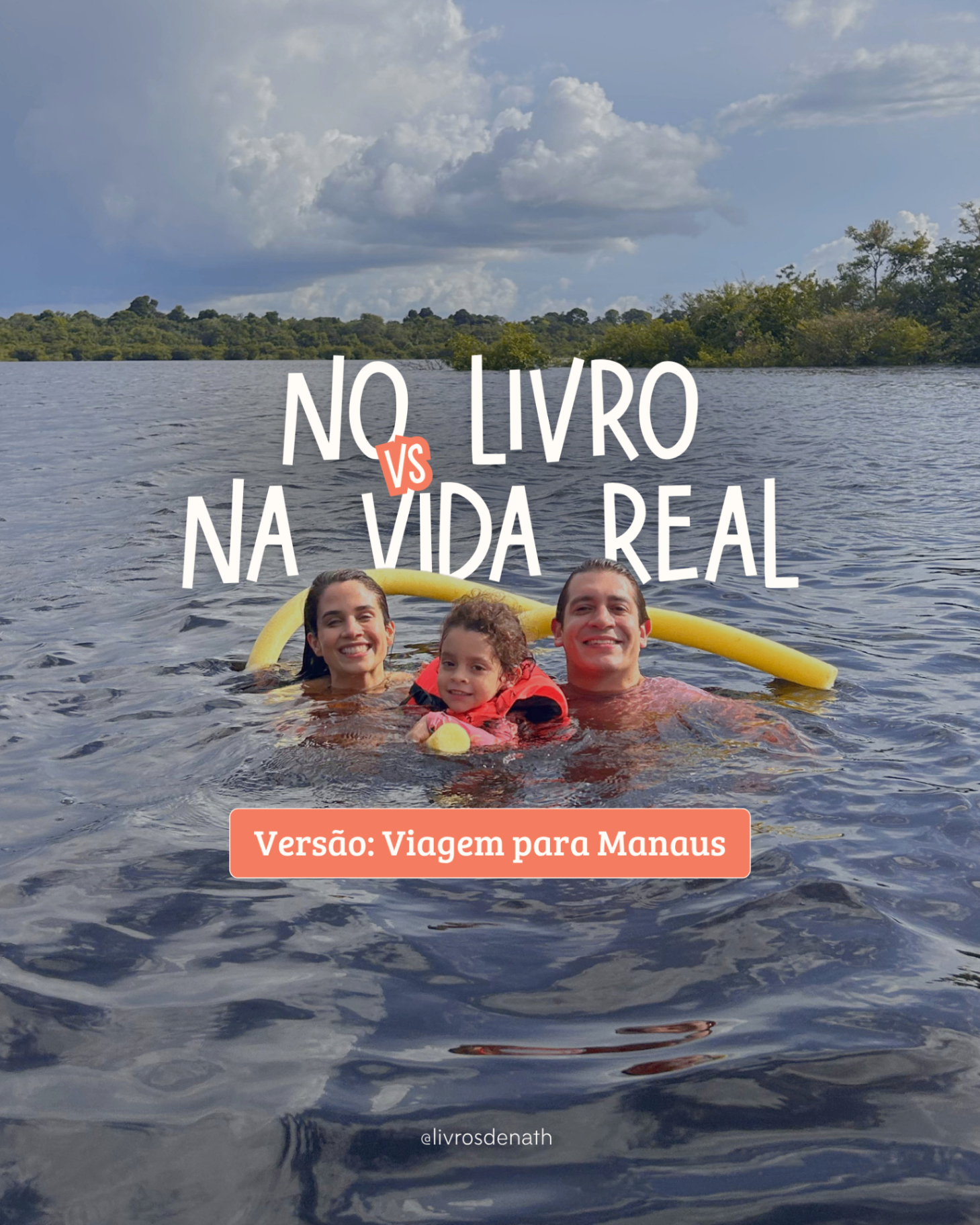 Capa de carrossel 3