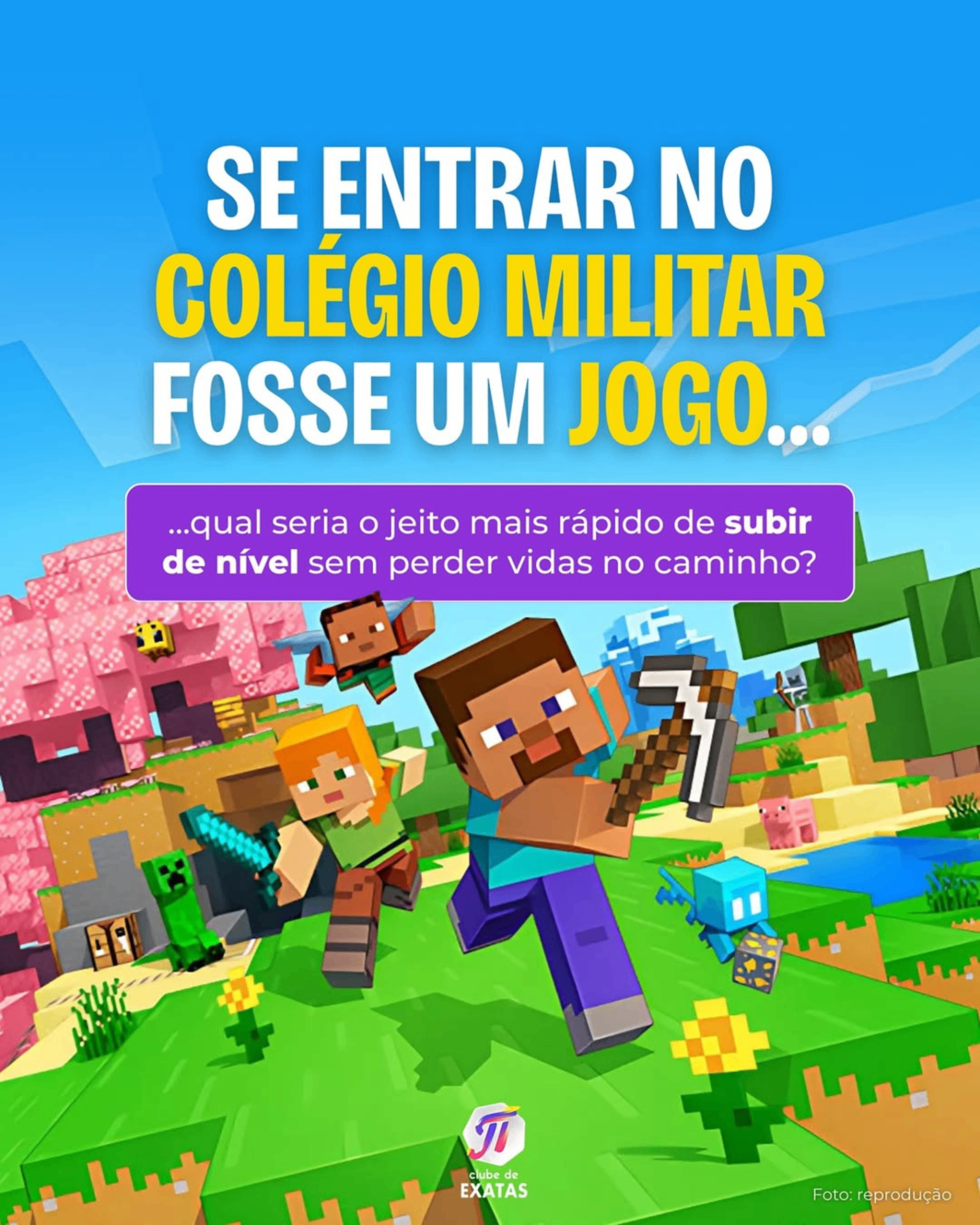 Capa de carrossel 5